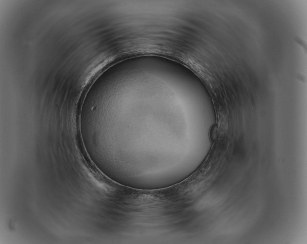 X0000090980390200708241408
