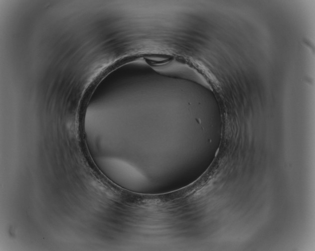 X0000090980391200708241408