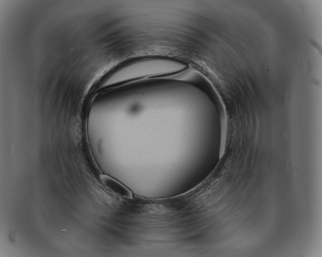 X0000090980392200708241408