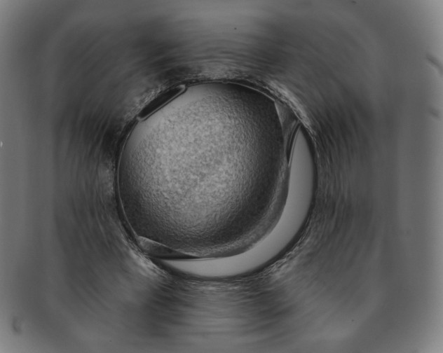 X0000090980393200708241408