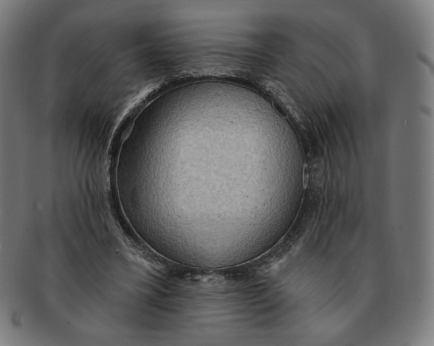 X0000090980395200708241408