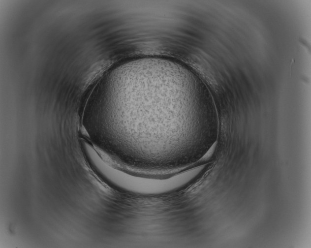 X0000090980397200708241408