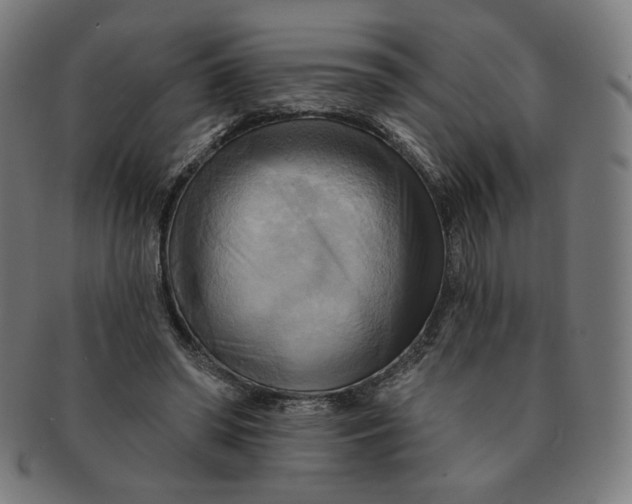 X0000090980398200708241408