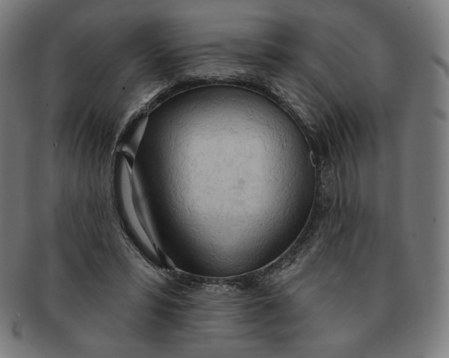 X0000090980399200708241408