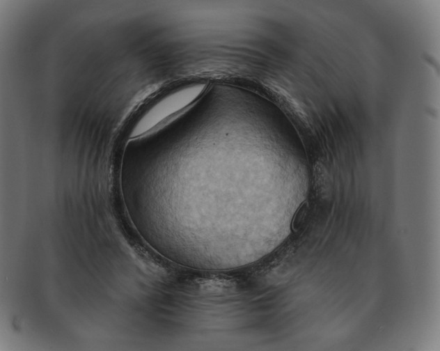 X0000090980400200708241408