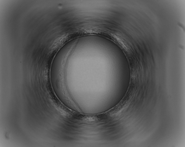 X0000090980402200708241408