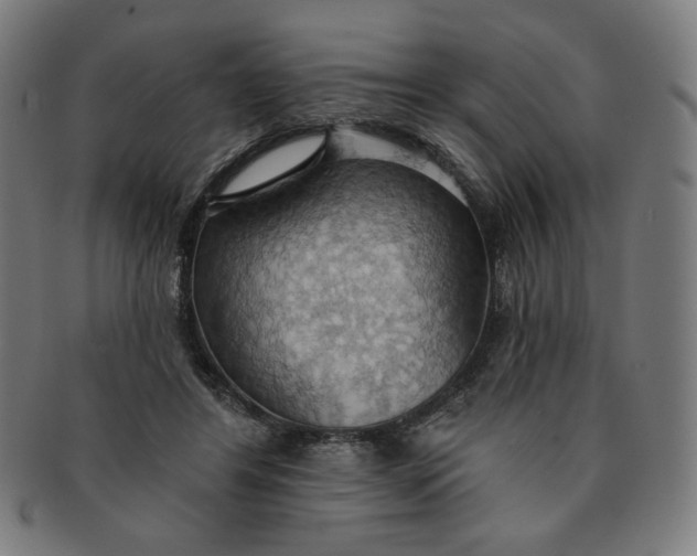 X0000090980404200708241408