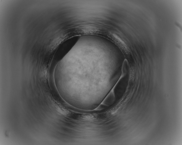 X0000090980405200708241408