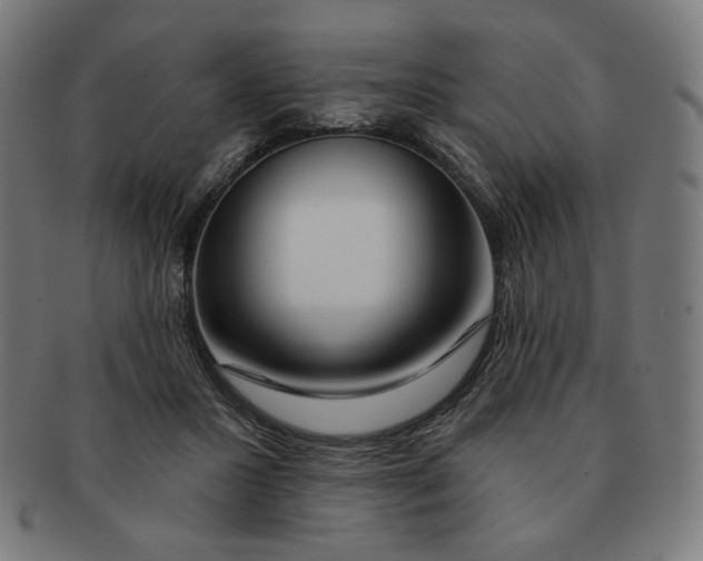 X0000090980407200708241407