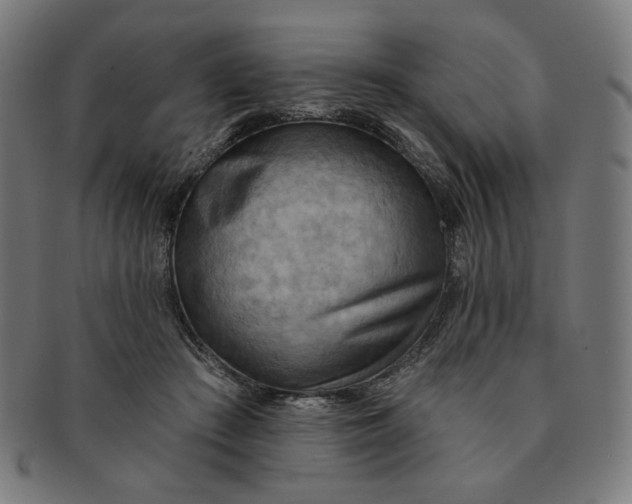 X0000090980409200708241407