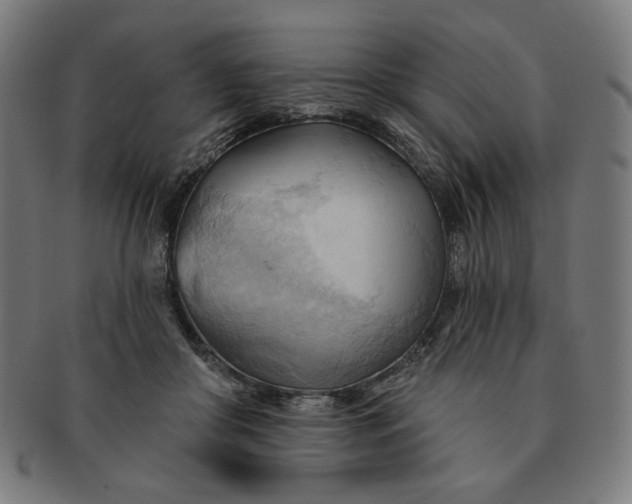 X0000090980410200708241407