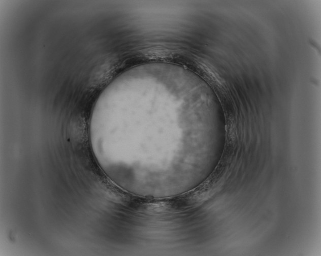 X0000090980411200708241407