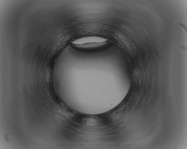 X0000090980412200708241407