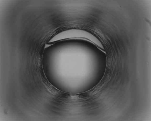 X0000090980413200708241407