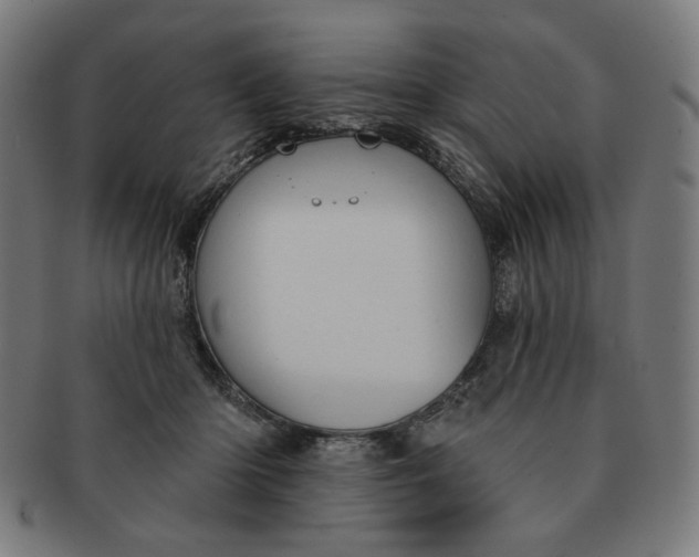 X0000090980414200708241407