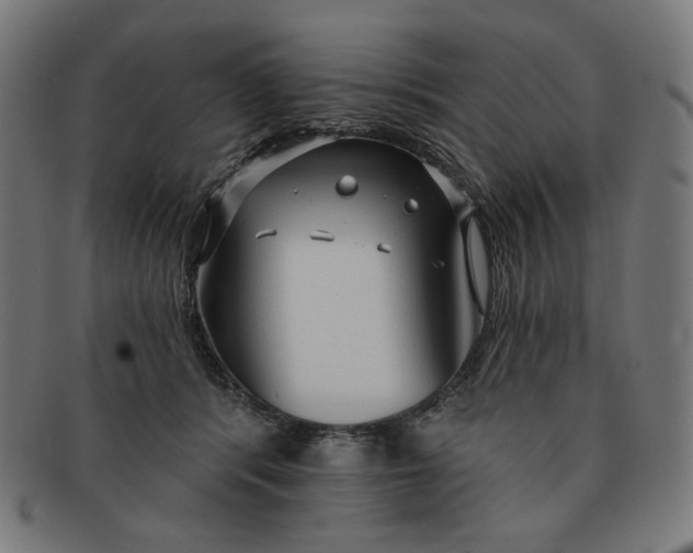 X0000090980416200708241407