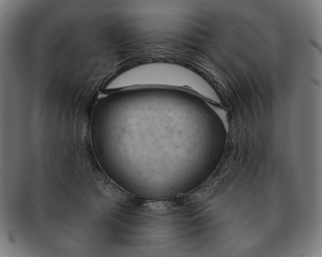X0000090980417200708241407