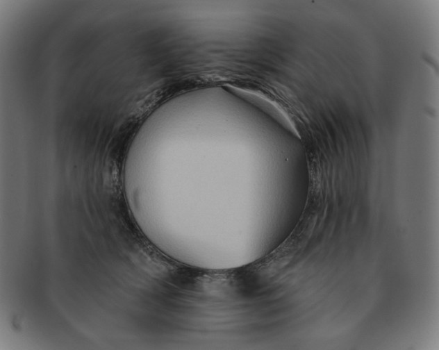 X0000090980418200708241407