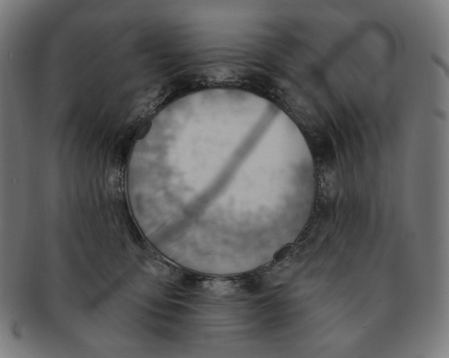 X0000090980419200708241407