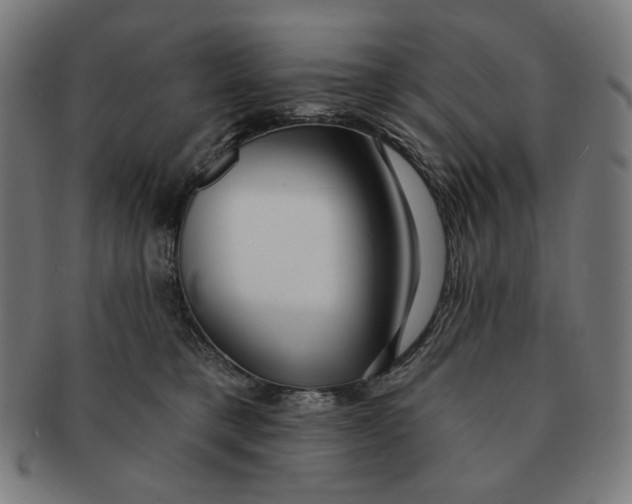 X0000090980421200708241407