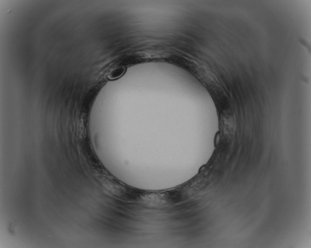 X0000090980422200708241407