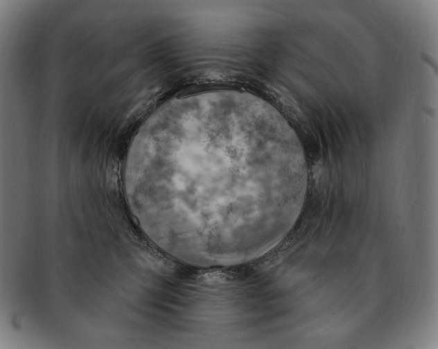 X0000090980423200708241407
