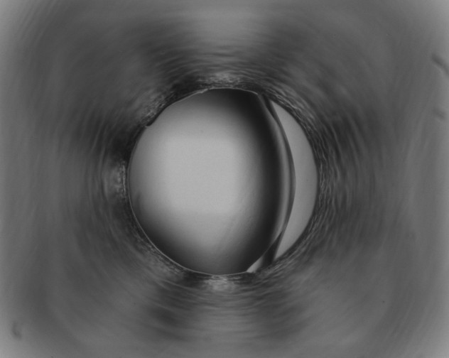 X0000090980425200708241407