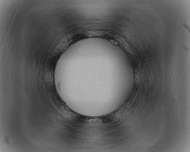 X0000090980426200708241407