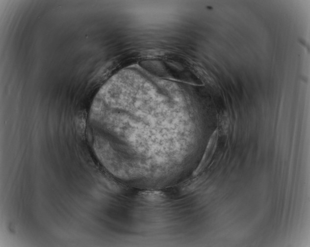 X0000090980427200708241407