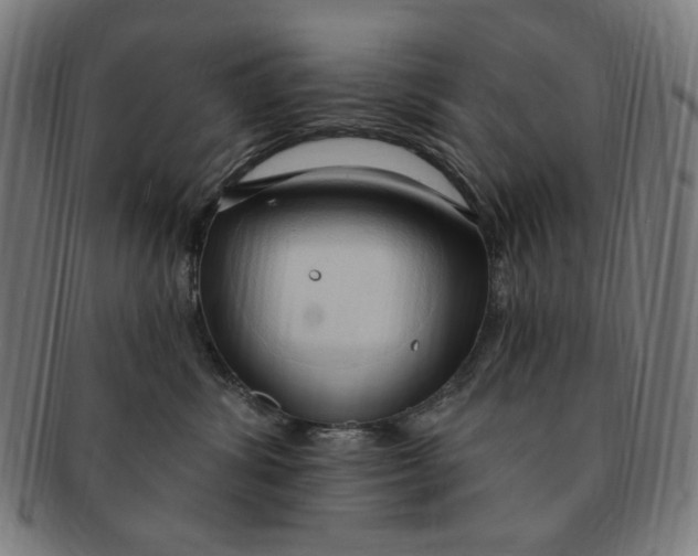X0000090980428200708241407
