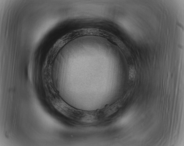 X0000090980431200708241407