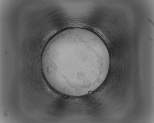 X0000090980433200708241406