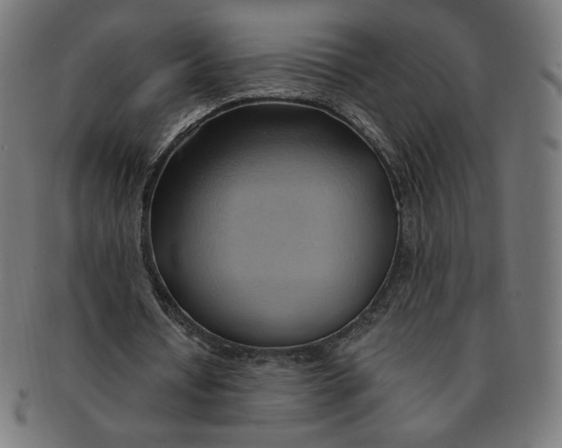 X0000090980434200708241407