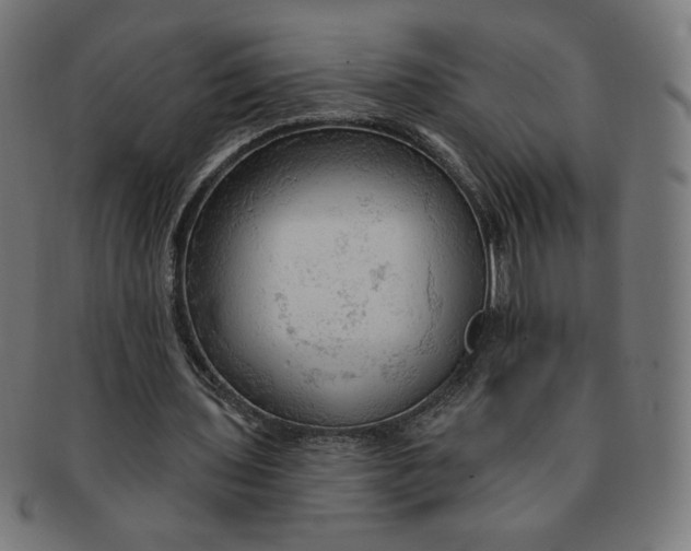 X0000090980435200708241407