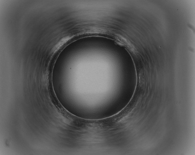 X0000090980436200708241407