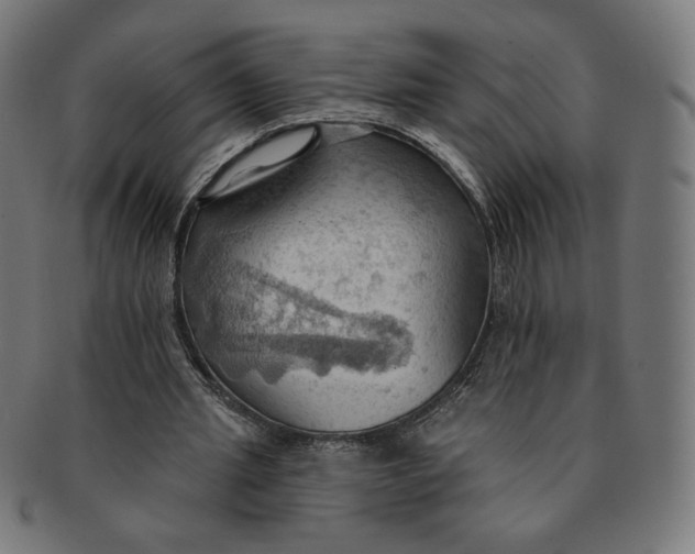 X0000090980437200708241407