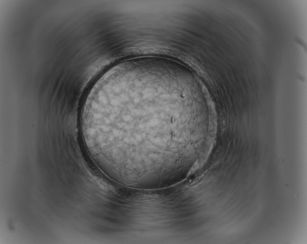 X0000090980438200708241407