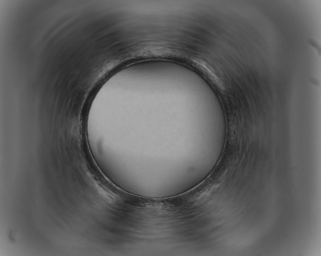 X0000090980439200708241407