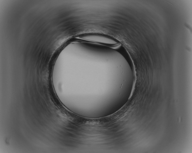 X0000090980440200708241407