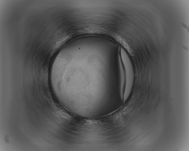 X0000090980442200708241407