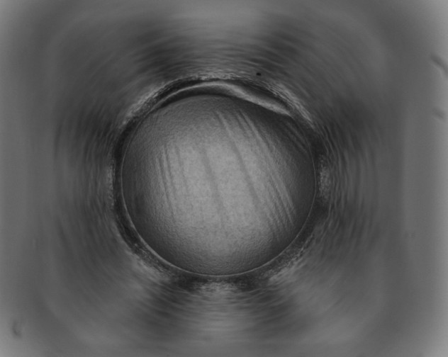 X0000090980444200708241407