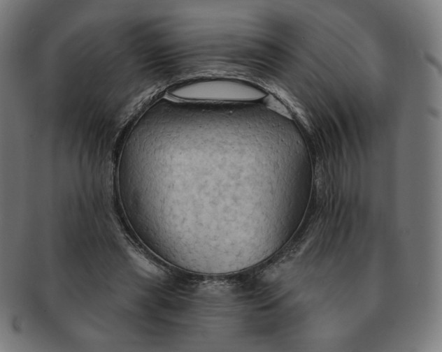 X0000090980445200708241407