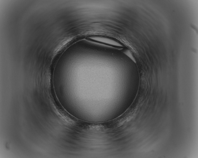X0000090980446200708241407