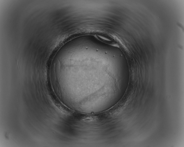 X0000090980447200708241407