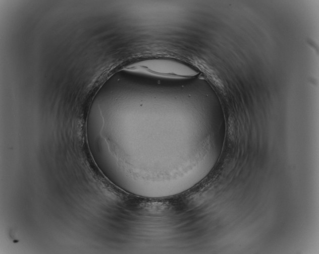 X0000090980449200708241407