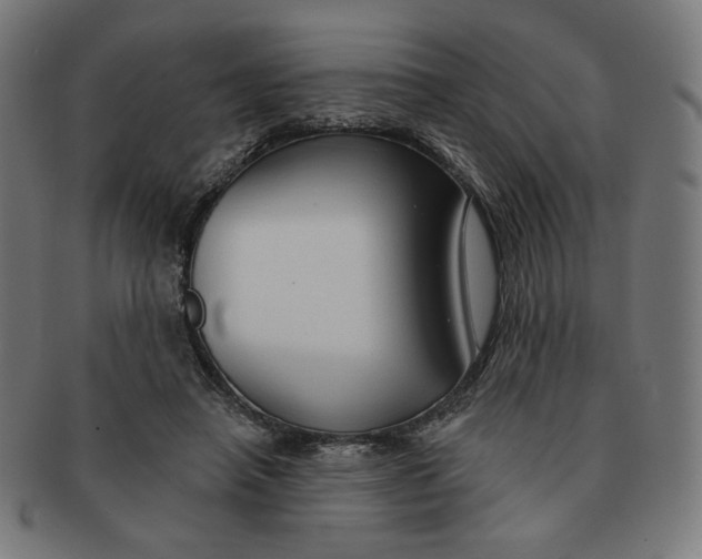X0000090980450200708241407
