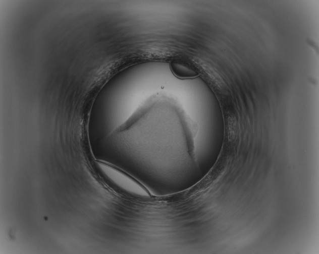 X0000090980451200708241407
