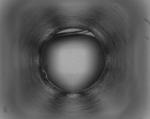 X0000090980452200708241407