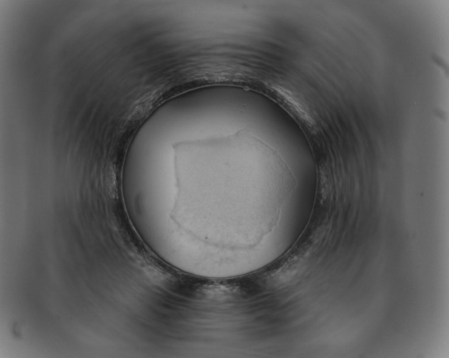 X0000090980453200708241407