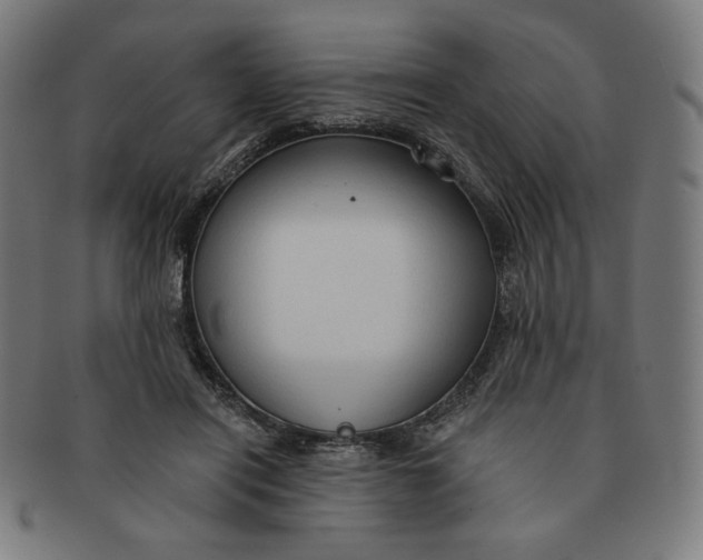 X0000090980454200708241407